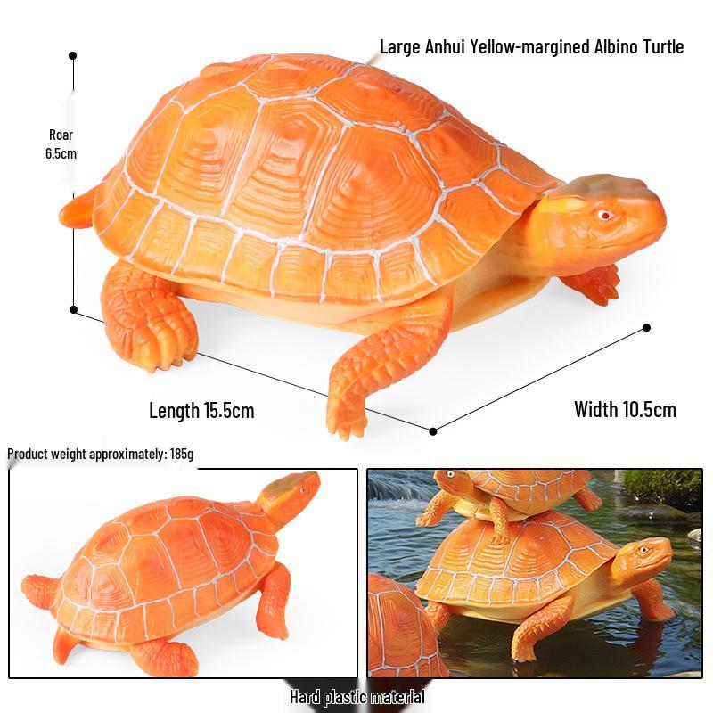Children's Cognitive Marine Animal Models: Sea Turtle and Tortoise Toys