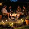Solar Bluebell Flower Ground Plug Light, Waterproof Outdoor LED Garden Landscape Decorative Lamp, Yard Ambient Lighting