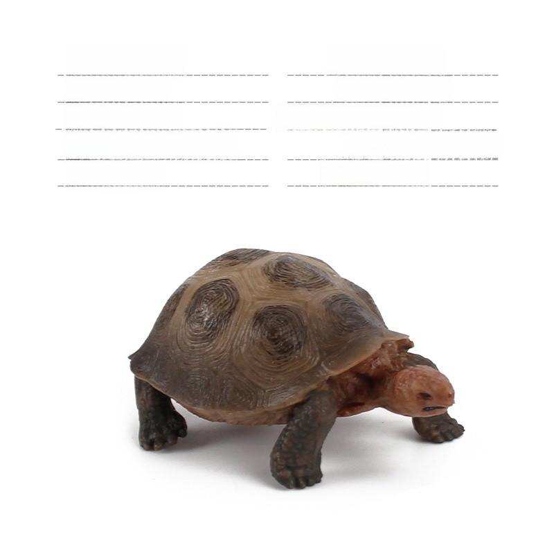 

Childrens Pvc Land Turtle Model Static Figurine With Realistic Design For Collectors And Kids Style B