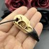 3D Gotik Raven Kafatası Kolye Reçine Replika Raven Saksağan Karga Gotik Hediye Cadılar Bayramı Raven Kafatası Kolye