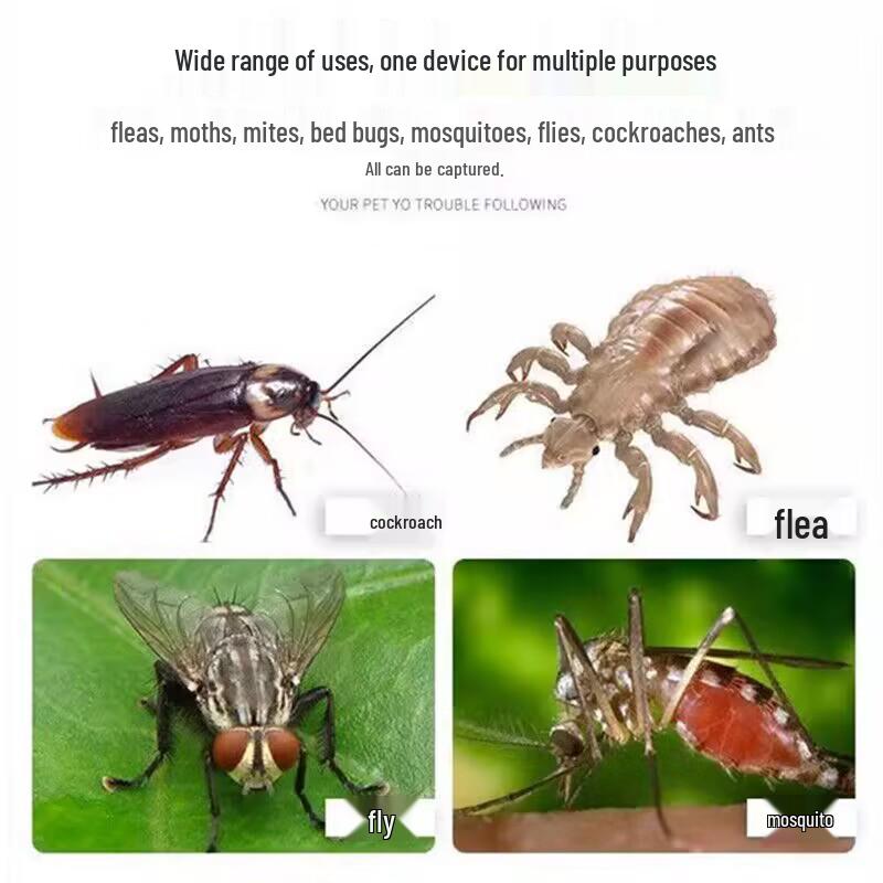 Flea & Insect Light Wave Trap Lamp: Mosquito, Cockroach, Fly & Insect Sticky Catcher