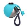 Portable Dog Water Bottle for Small Dogs Stainless Steel Body Silicone Bowl for Walking Hiking Travels with Clip and