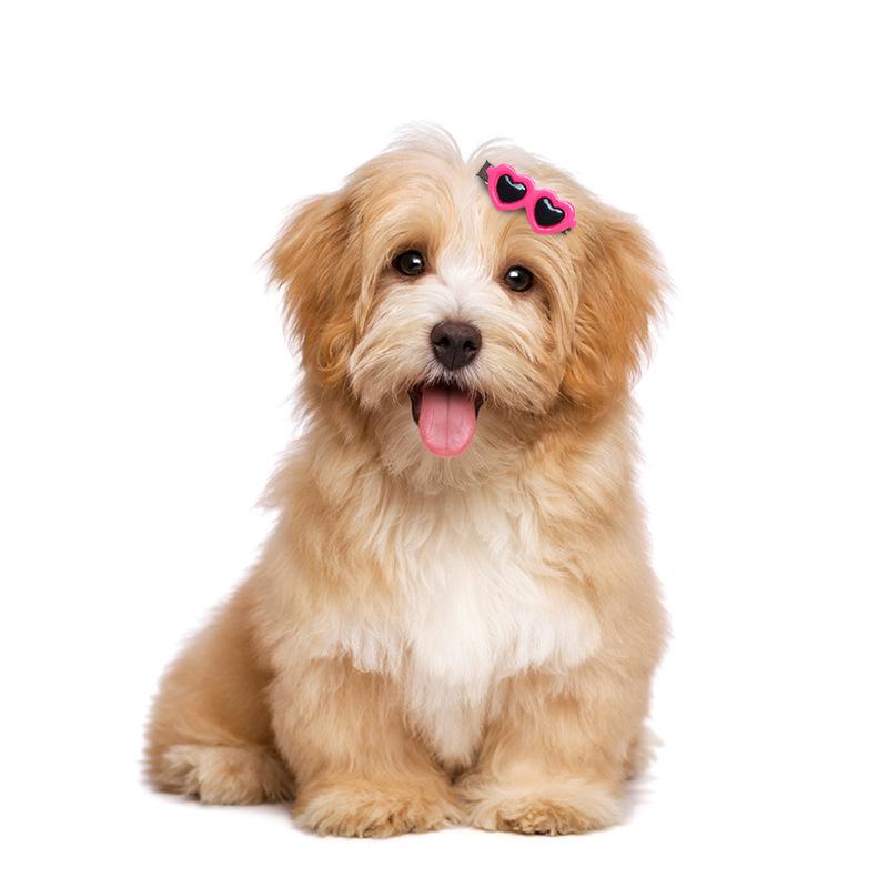 Accesorios para Pelo de Mascota Gafas Pasador: Clip Lindo para Gafas de Sol para Perros y Gatos