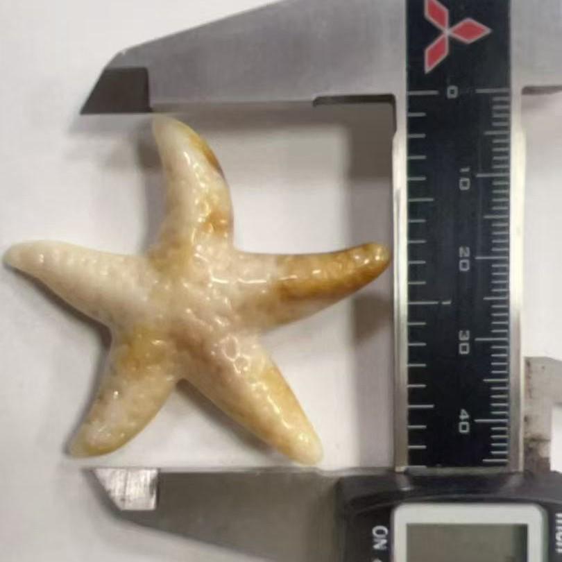 Acrylic Starfish Seashell Conch Pendant for DIY Crafting