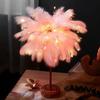 Luxurious Feather Night Light - Dimmable Desk and Decorative Lamp for Living Room or Bedroom