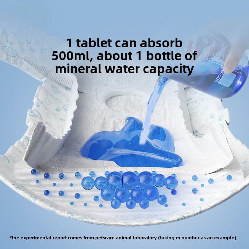 Couches pour chiens, culottes physiologiques pour chiens mâles, serviettes hygiéniques pour chiennes, Teddy, culottes pour petites chiennes, fournitures pour animaux de compagnie