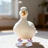 Pet Shoes -Dirt - Outdoor Boots for Call Poultry