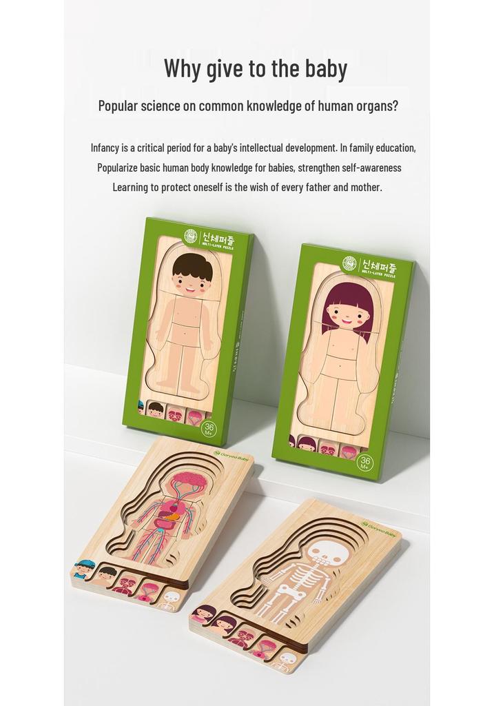 GoryeoBaby Wooden Human Body Puzzle - Children's Educational Toy