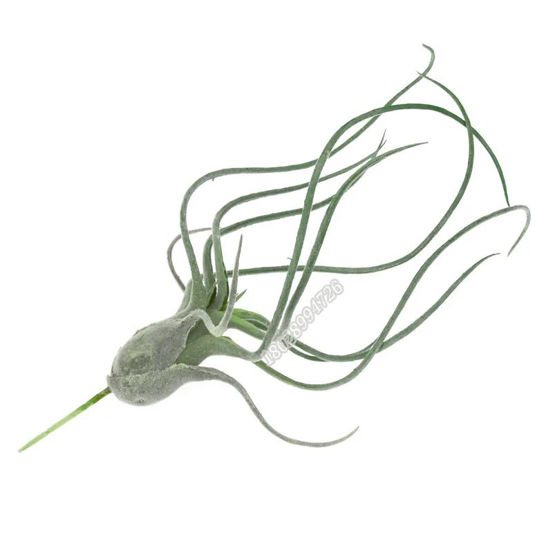 Artificial Flocking Fake Bromeliads Air Plants Hanging Simulation Tillandsia Plants For Home Wedding Party Flower Decoration