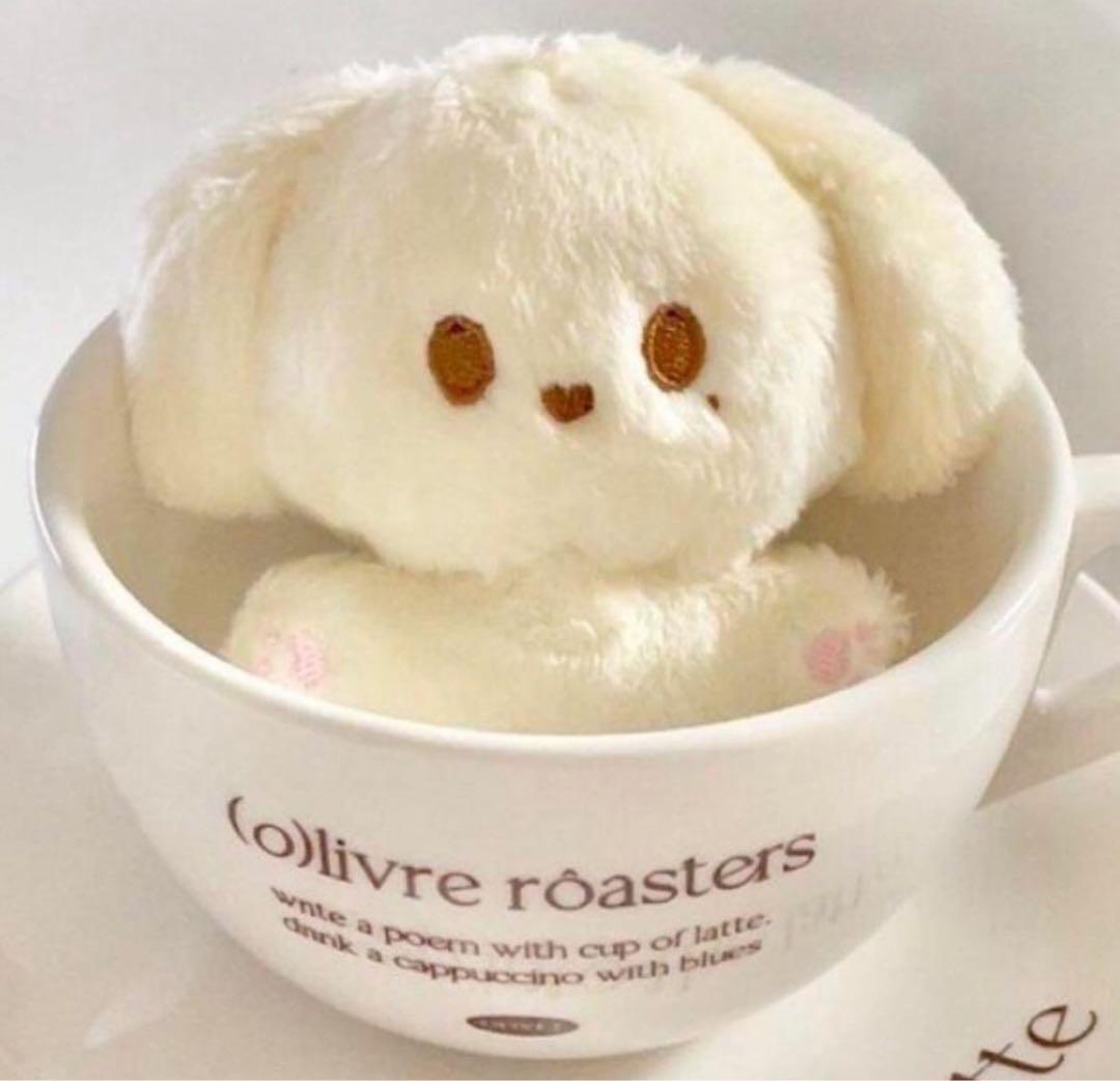 

[USED] NCT127 Jungwoo Master Plush Toy 10cm Masternim