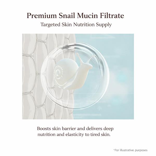 3w Clinic Black Snail 98 All In One Cream 100g (3 Options)