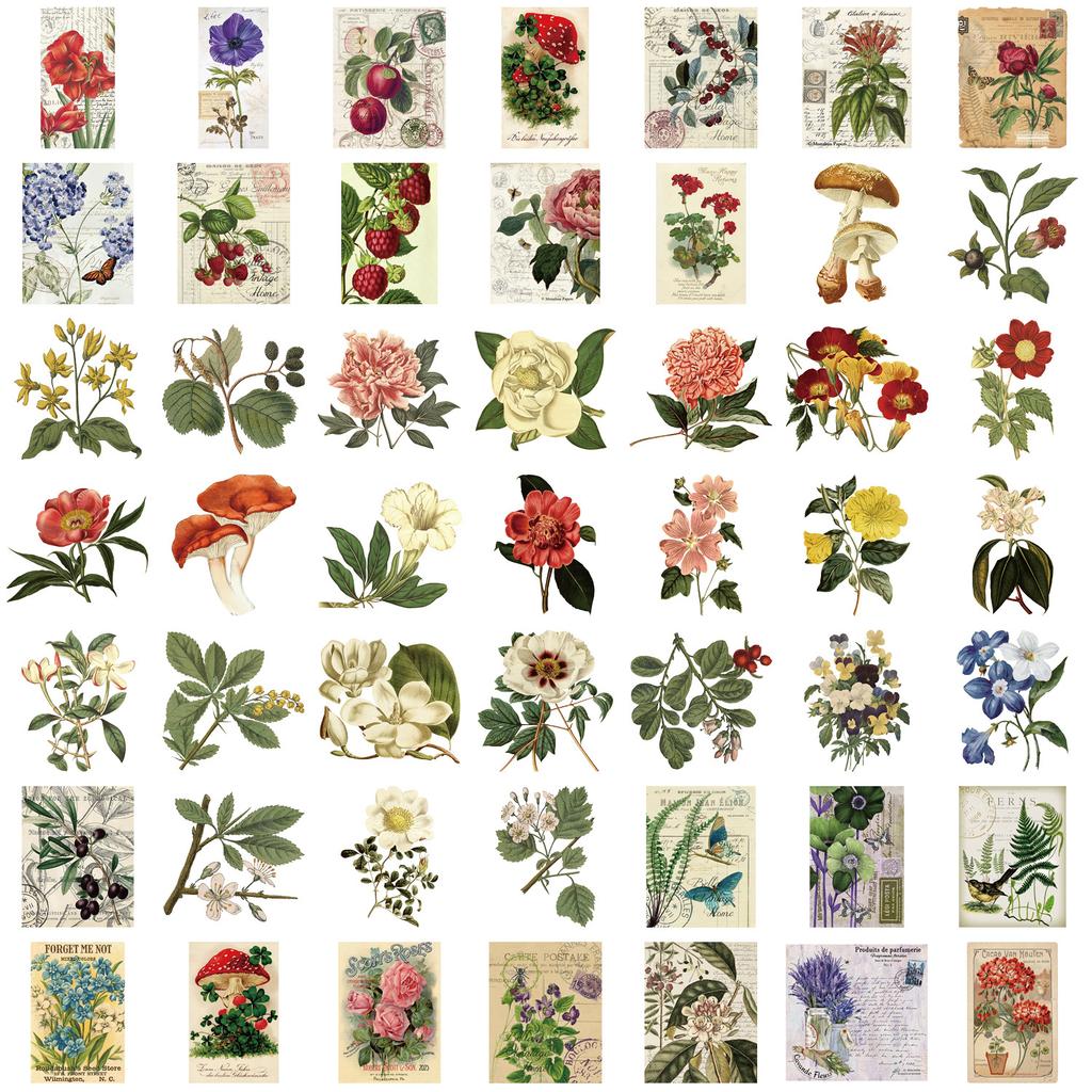 50 Transparent Cartoon Retro Plant Sticker Pack Waterproof Transparent PET Hand Account Decorative Guitar Notebook