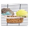 Transparent Bird Feeders for Easy Monitoring of Food Level and SpillProof Design Feeding Station for Bird Cage Hanging