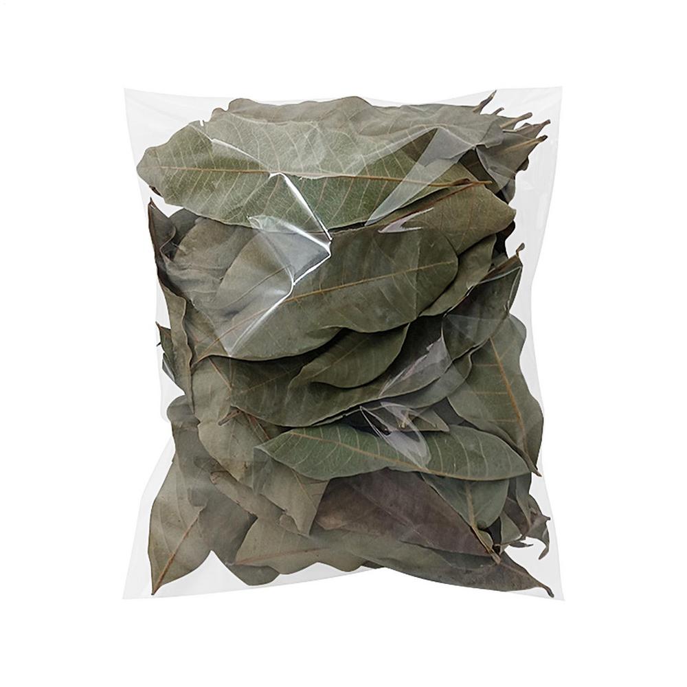 Листья лонгана 50 штук Натуральные аксессуары для питомцев Аквариум Листья лонгана Для гекконов Лягушек Змей Креветок Среды обитания Вода