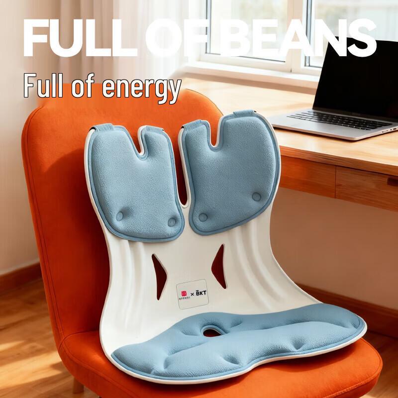 BKT Ergonomic Posture Corrector Chair - Evergreen Rabbit Gift Set