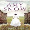 Amy Snow by Tracy Rees Paperback Book 9781784291457