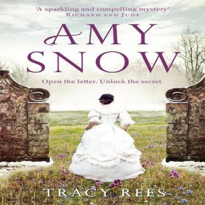 Amy Snow by Tracy Rees Paperback Book 9781784291457