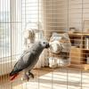 Hanging 2 In 1 Bird Water Dispenser Large Capacity Bird Cage Feeder Bird Food Container Parakeets