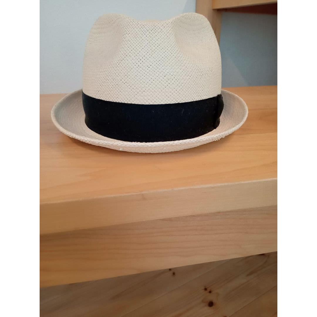 earth panama hat