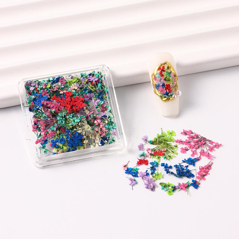 Nail Art Diy Dekorace Japonský styl Gel sušená květina Na Nail Art Šperky Kouzelná květina Dekorace salonu krásy