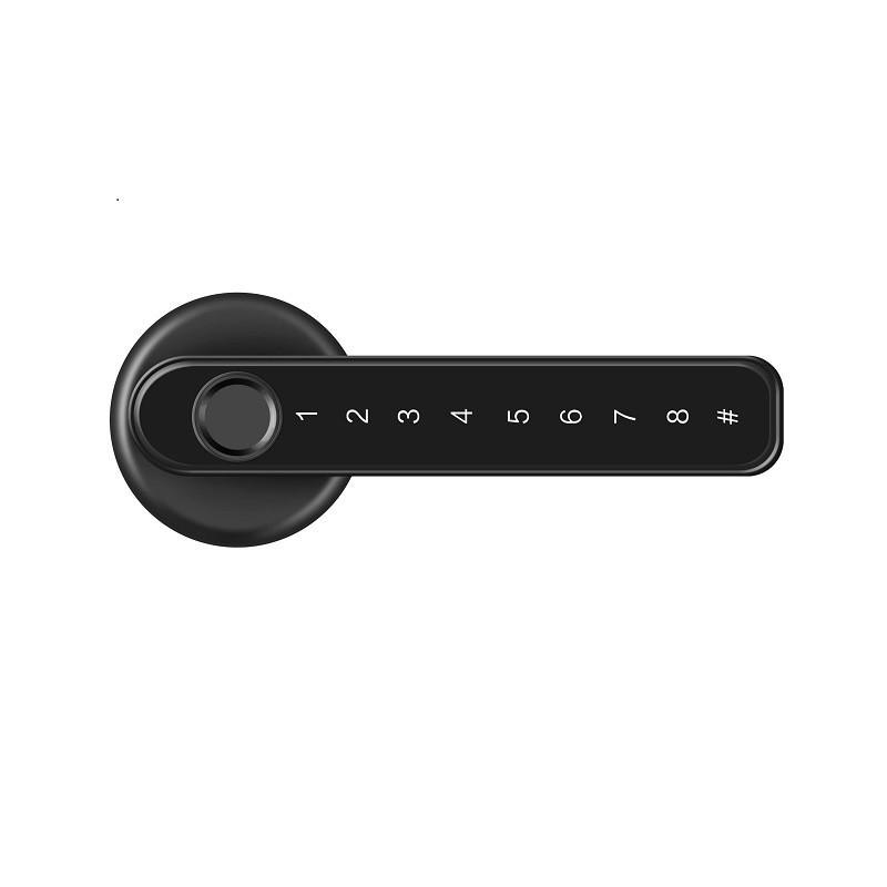 Fingerprint Lock for Indoor Bedroom/Office: Wooden Door Password & Smart Electronic Alloy Lock