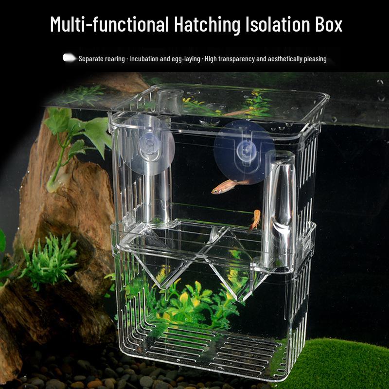 Acrylic Fish Breeding Box: Guppy & Betta Tank Isolation Incubator