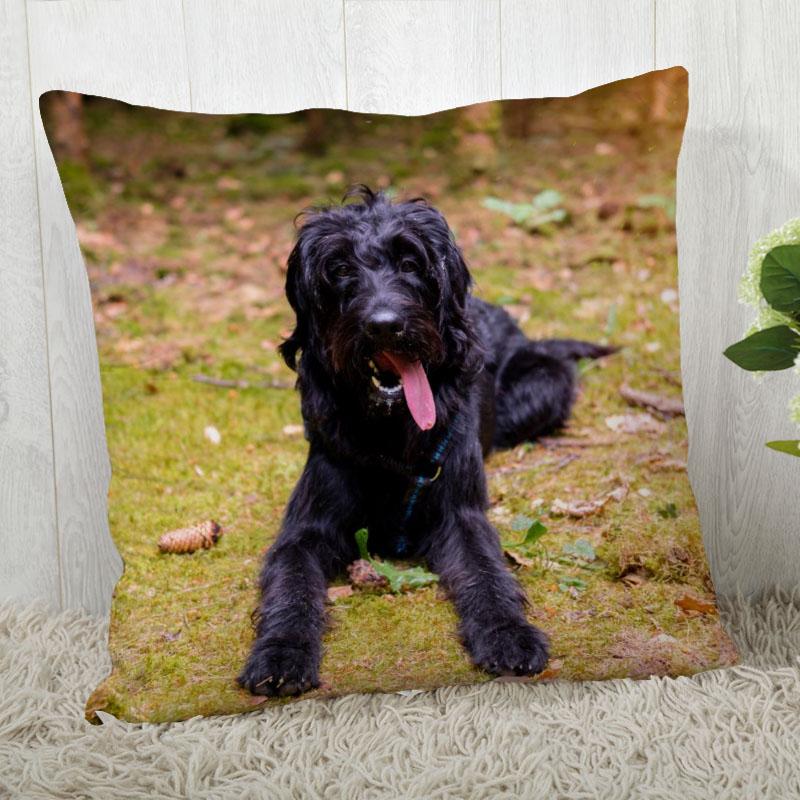 Pillow Cover Customize Schnauzer Pillow Case Modern Home Decorative Pillowcase For Living Room 45X45Cm,40X40Cm A.4.29