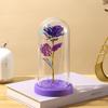 Valentine's Day Immortal Flower Glass Cover Gold Foil Rose Romantic Bouquet Ornament Couple New Year Birthday Gift