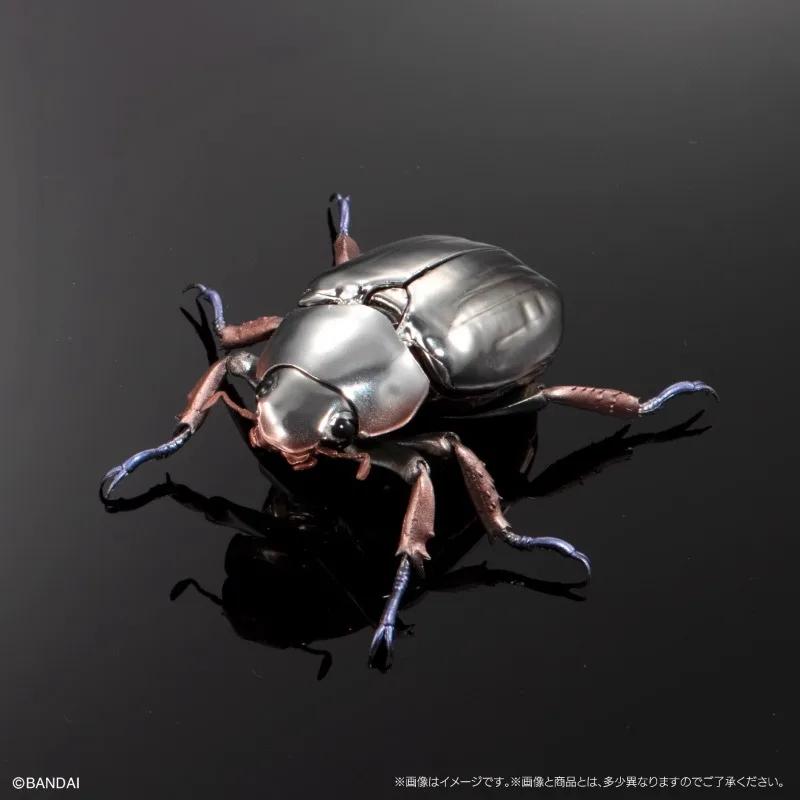 Original Twisted Egg Biological Encyclopedia Scarab Beetles Simulation Model Ornaments Action Figure Toys
