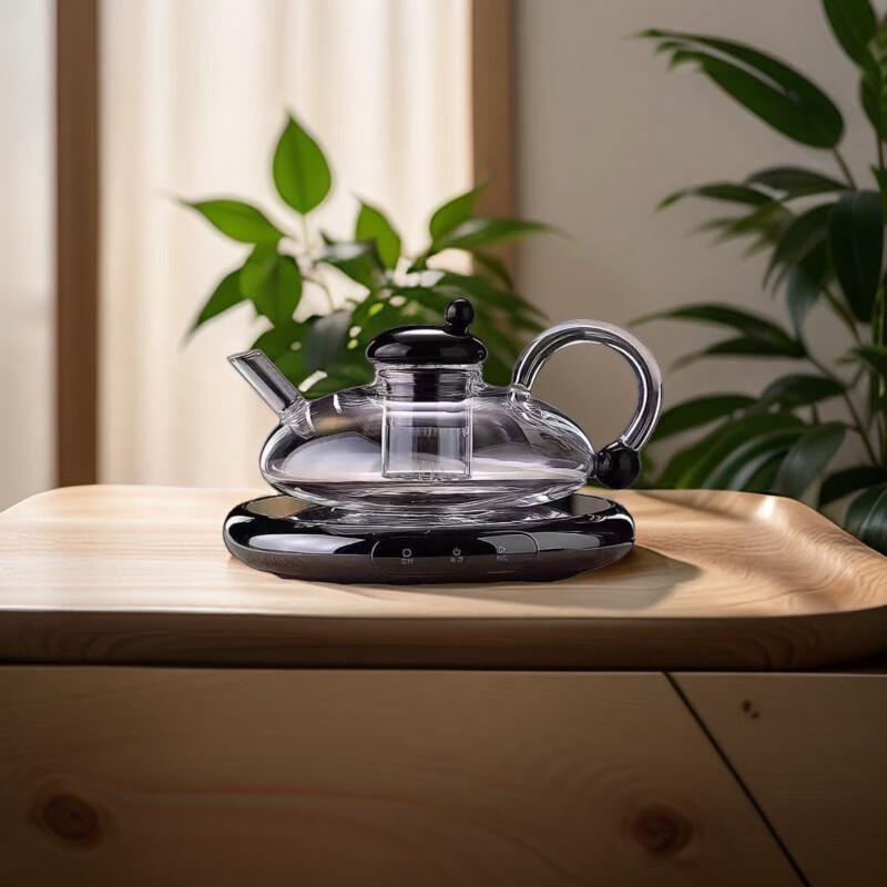 Nordic Heat-Resistant Glass Teapot Set