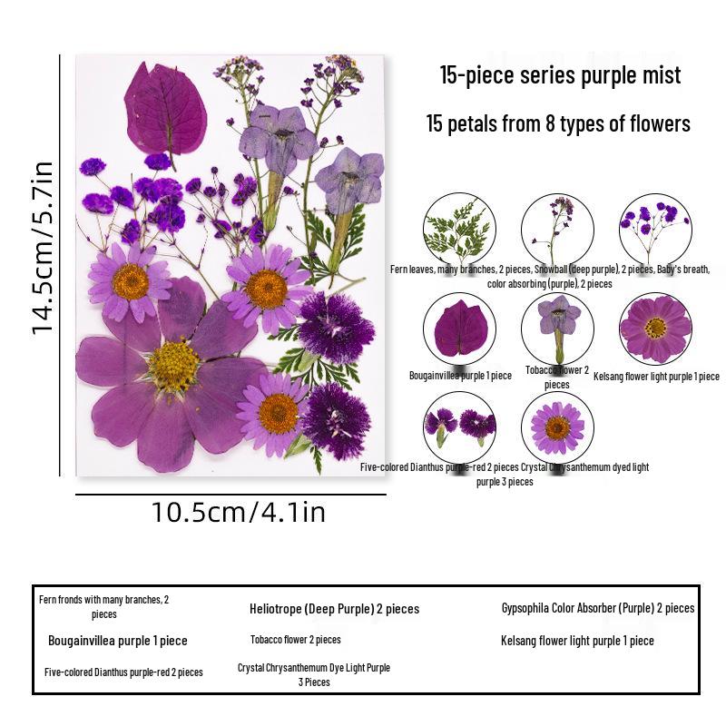 DIY Dried Flower Specimen Sticker Set for Kids: Handmade Pressed Flower Frames & Resin Bookmark Craft Kit