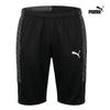 Puma Training Pants Liga 26