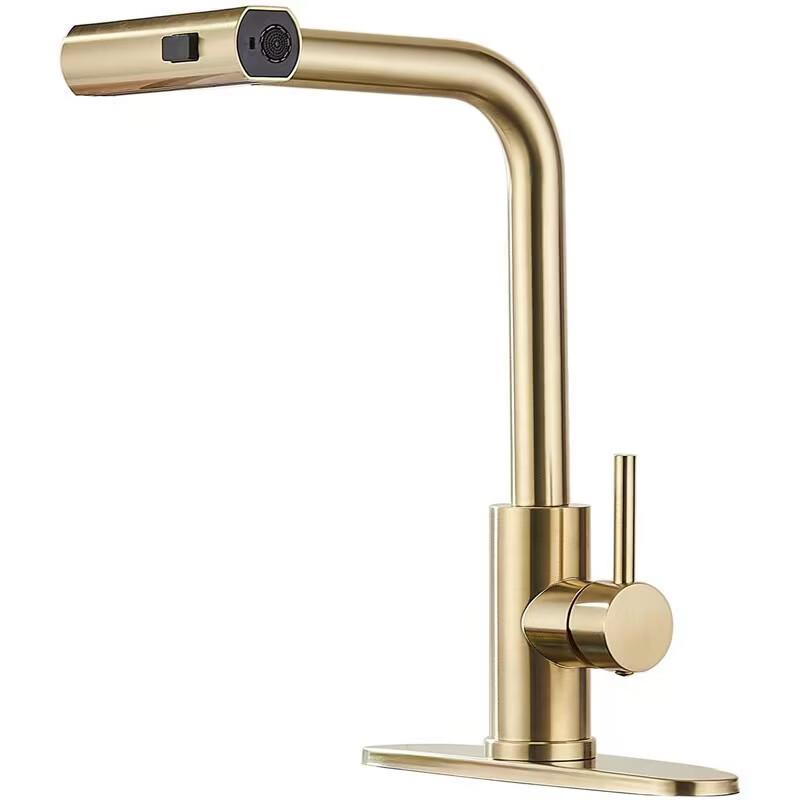 Yuzhuxun 304 Stainless Steel Wall-Mounted Retractable Kitchen Faucet