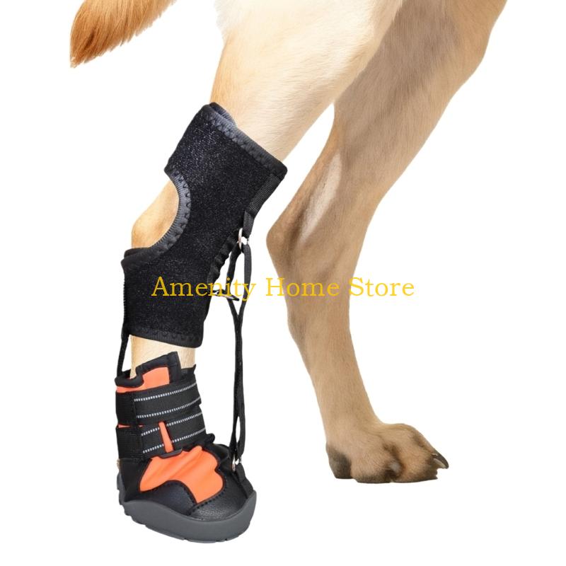 F26C Scarpe Correttive per Cani Ortesi per Piede Cadente con Bobina per Cane con Problema al Piede, Miglioramento dell'Andatura Senza Inginocchiamento Ortesi a Stivale