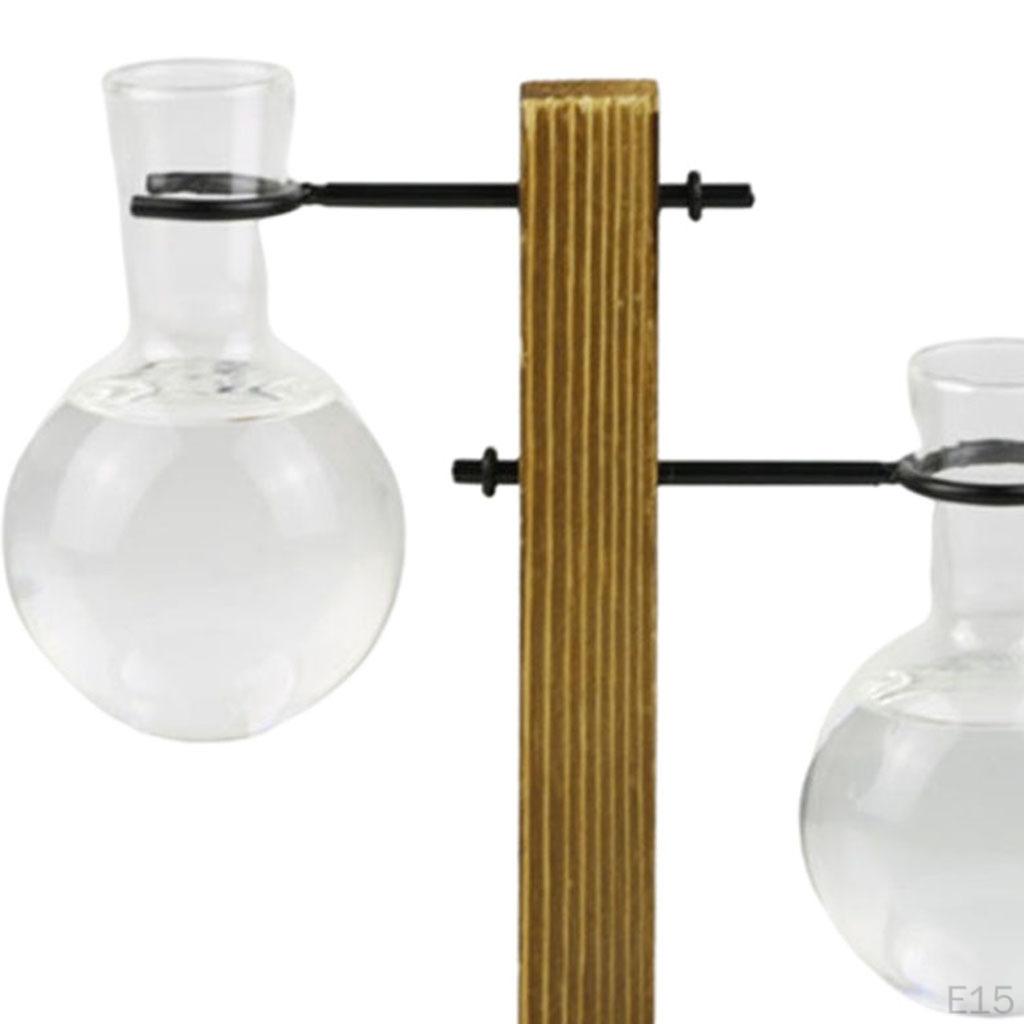 Terrarium Transparent with Wooden Stand Glass Vase Holder Creative Flower Pot for Coffee Shop Room
