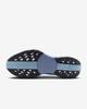 FQ7262-402 Nike Pegasus Plus Ashen Slate White Pure Platinum Anthracite (Men's)