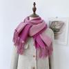 Double-Sided Solid Color Imitation Cashmere Scarf with Tassels – Cozy Korean Autumn/Winter Fashion for Students