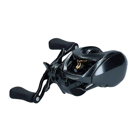 DAIWA Baitcasting Reel 19 STEEZ CT SV TW 700SH (2019 Model)