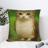 Internetberömd Meowl Cat Owl Meme Kuddfodral Tryckt Kuddfodral För Soffa Sovrum Moderna Kuddfodral