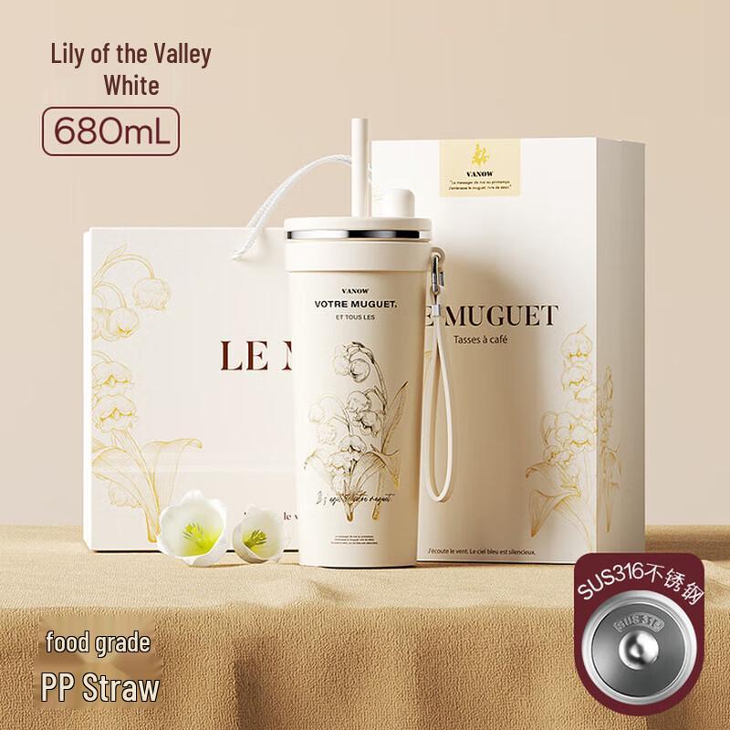 Vanow 680ml Stainless Steel Insulated Travel Mug with Straw