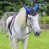 Horse Ears Cover Breathable Mesh Horse Earmuffs Horse Ear Mesh Cover, Breathable Horse Ears Protections Shield Supplies