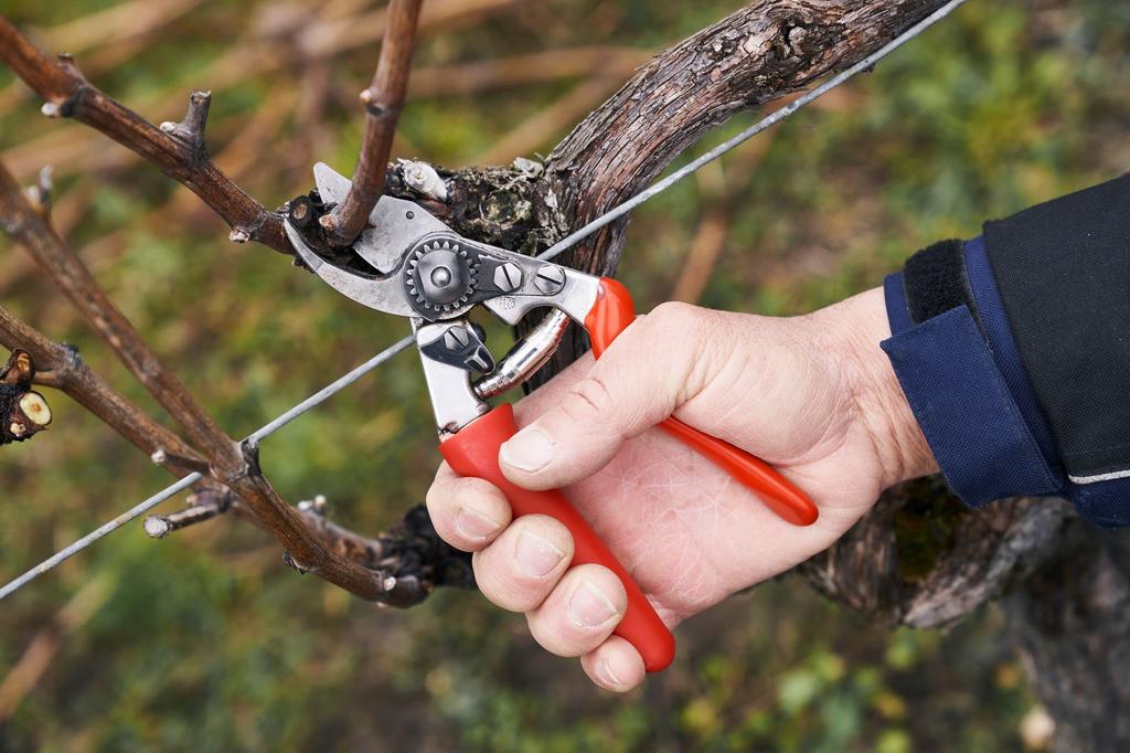 Felco Model 15 Red Secateurs,