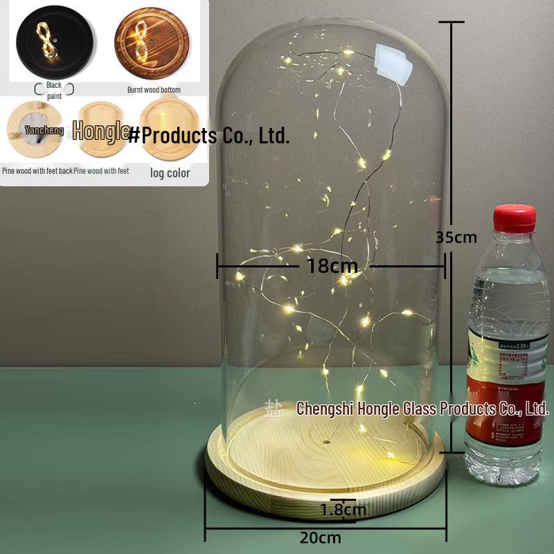 Luminous Sea Urchin Glass Dome with Preserved Flowers and String Lights