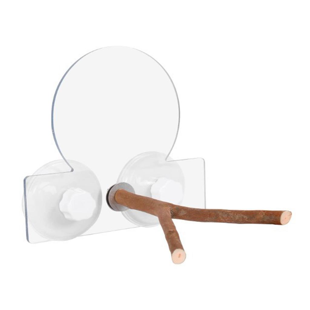 Perchas para Pájaros Ventosa Ventana Madera Natural Ramas de Pie Juguetes para Loros No Tóxicos Estación de Aseo Estable Accesorios