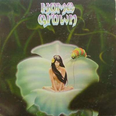 LP Record VARIOUS Home Grown NONE KKUA 1976 US Rock Used