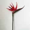 Fiore di Seta Uccello del Paradiso - Arredamento Premium per la Casa, Esposizione per Showroom, Oggetto di Scena per Fotografia