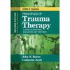Principles of Trauma Therapy Paperback UKN438