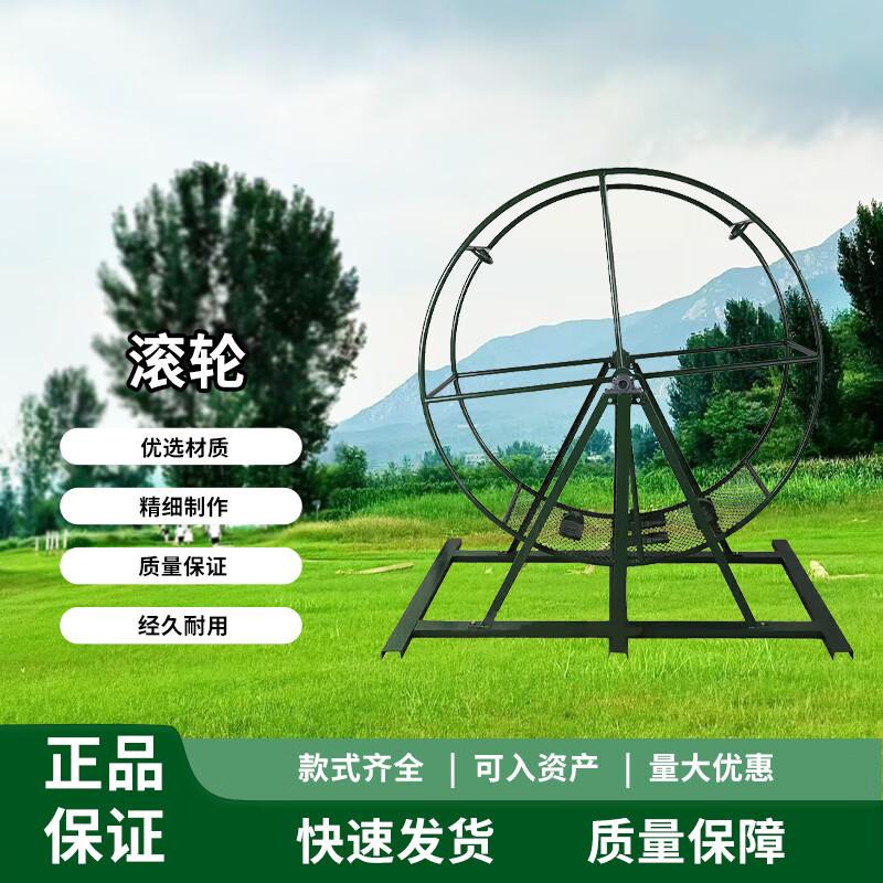 Anti-Vertigo Dual Wheel Balance Trainer