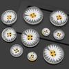 50PCS 2 Holes Daisy Buttons Round Sewing Button Sweater Clothing Button  Clothing Sewing