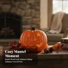 Jack-O'-Lantern Shatterproof Polypropylene Pumpkin Compact for Shelves